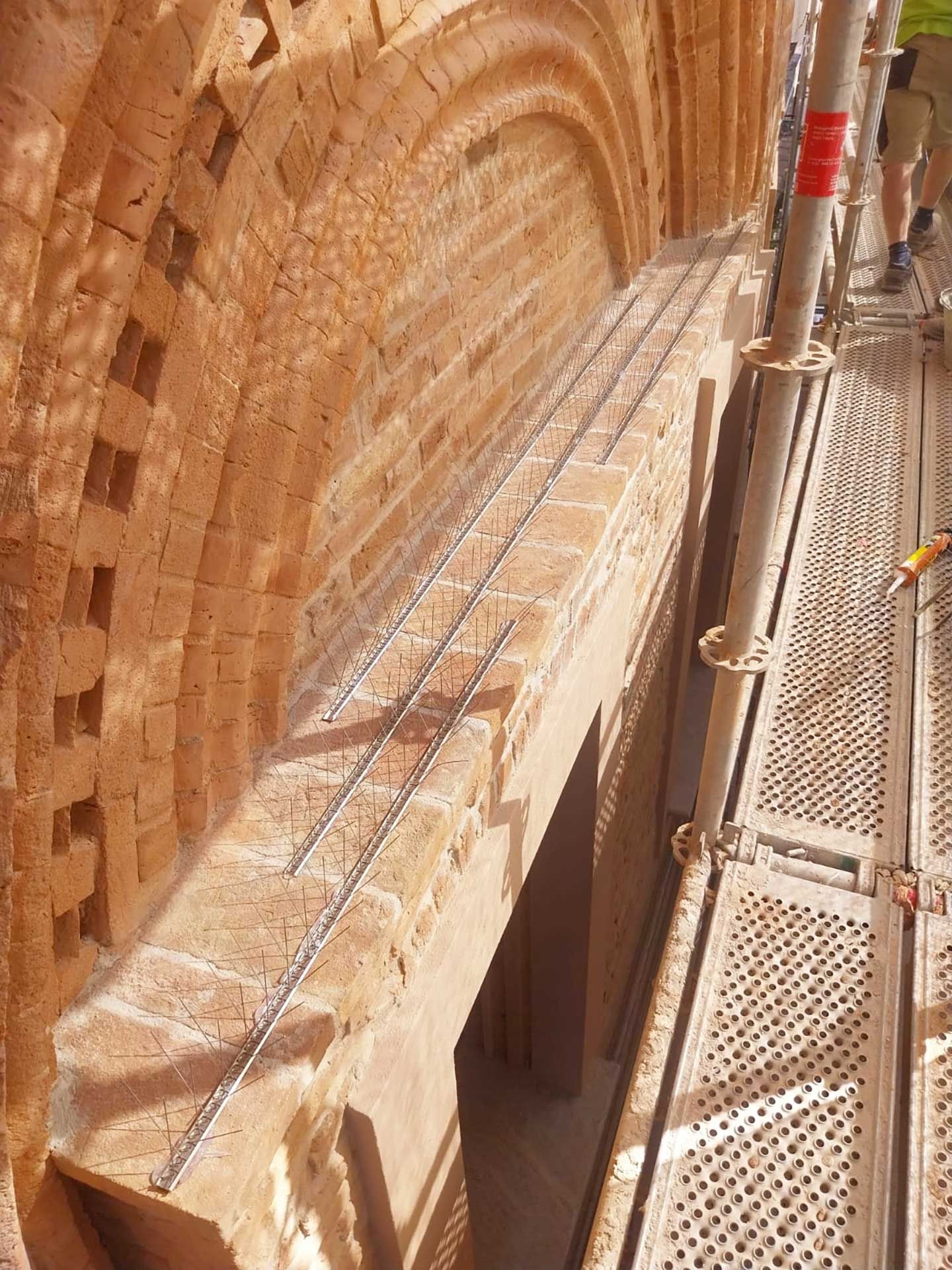 Posa dei dissuasori per piccioni